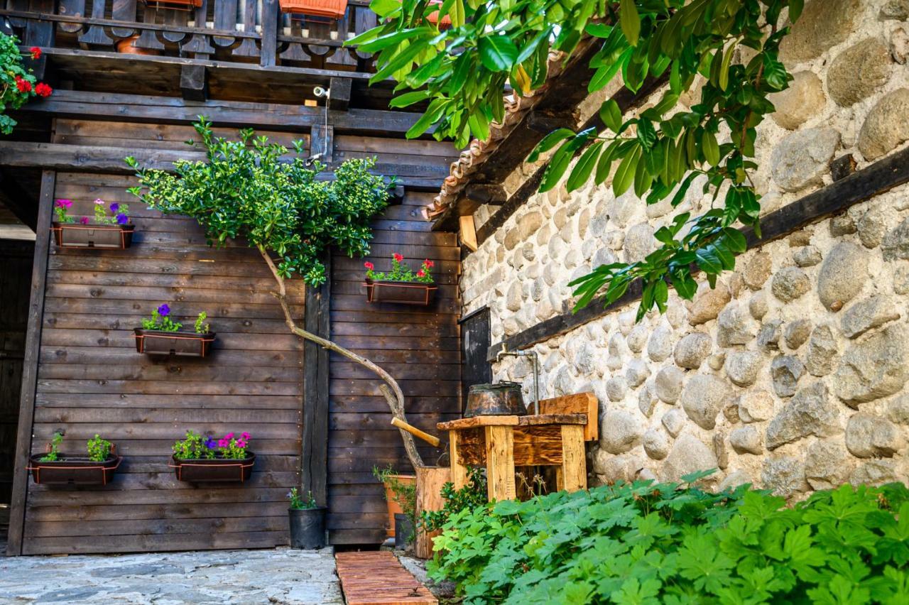 Banskovilla Zlateva House Extérieur photo